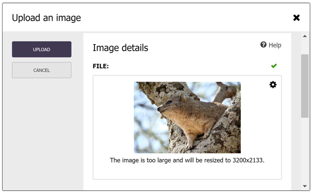 Automatic image downsizing of image uploads