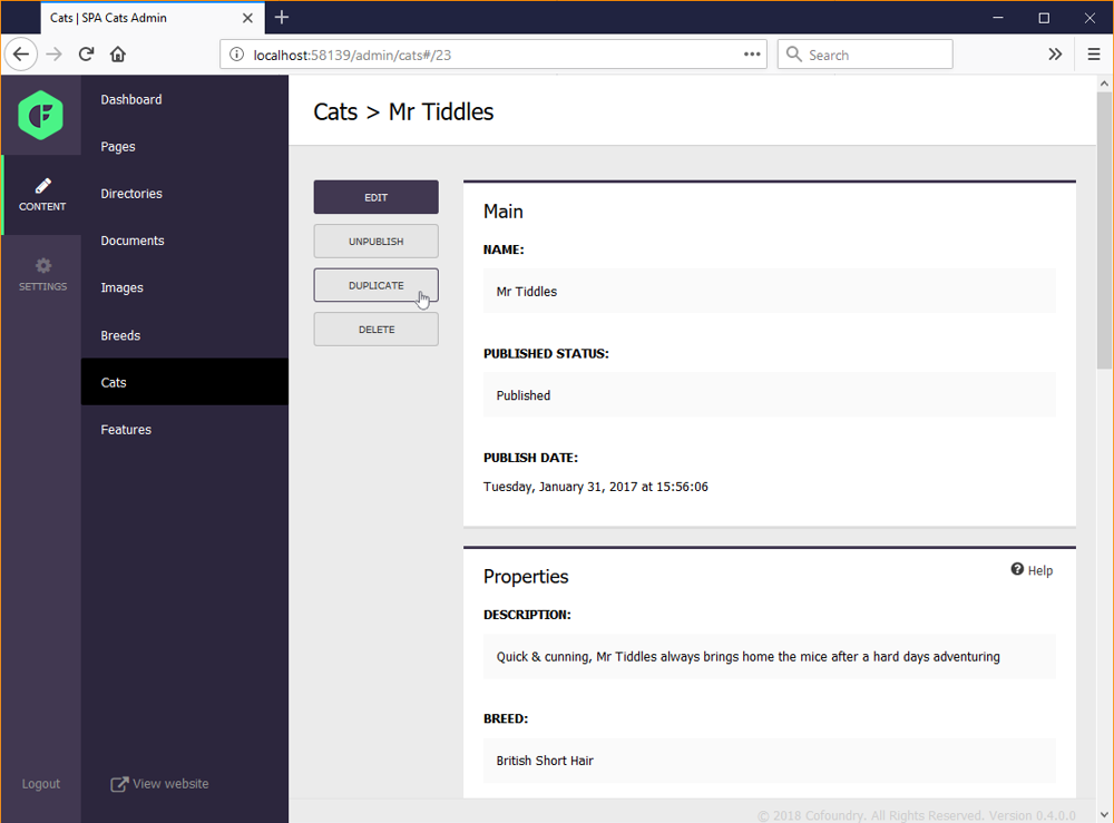 Duplicating a custom entity in Cofoundry